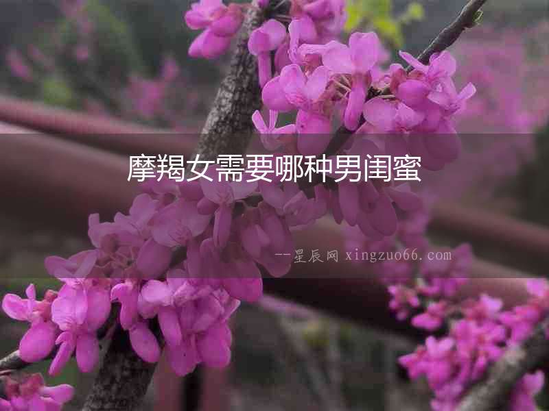 摩羯女需要哪種男閨蜜