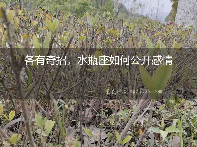 各有奇招，水瓶座如何公開感情