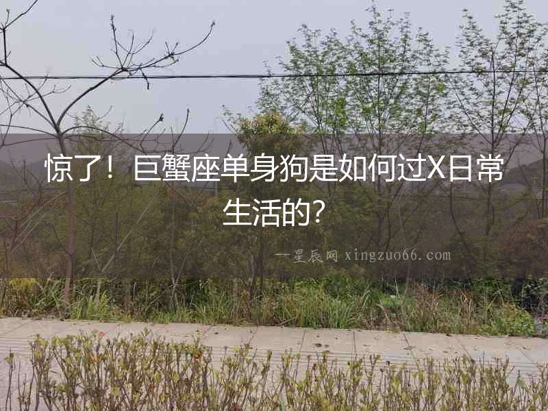 驚了！巨蟹座單身狗是如何過X日常生活的？