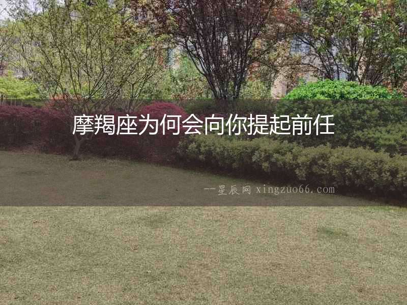 摩羯座為何會向你提起前任