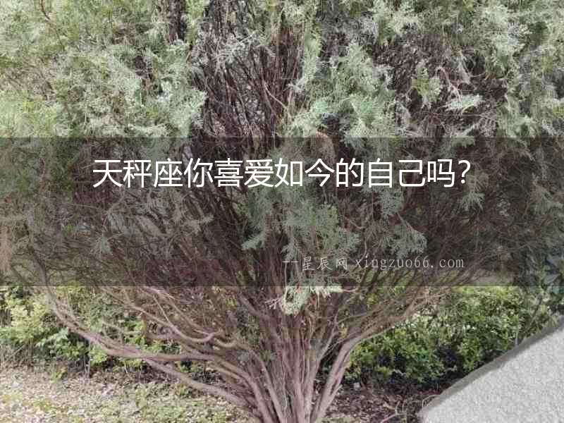 天秤座你喜愛如今的自己嗎？