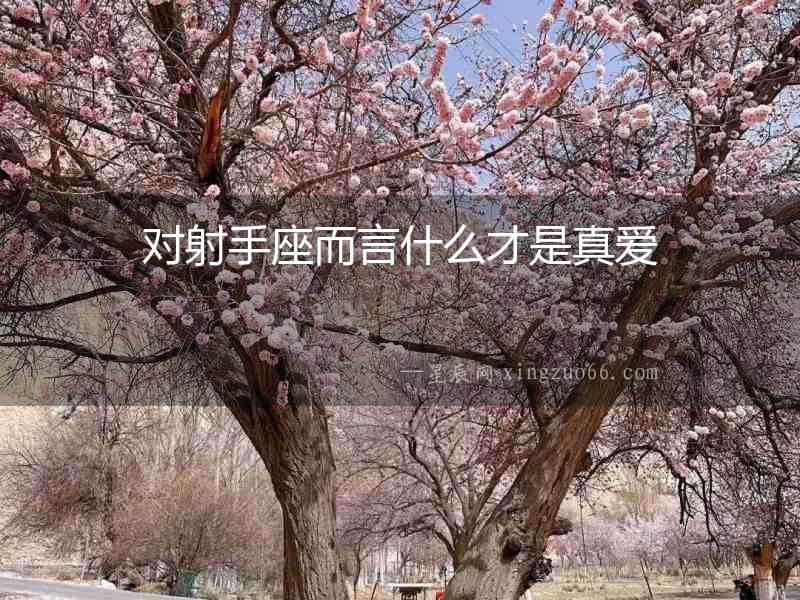 對射手座而言什么才是真愛