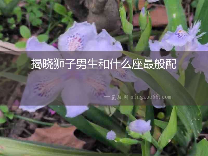 揭曉獅子男生和什么座最般配