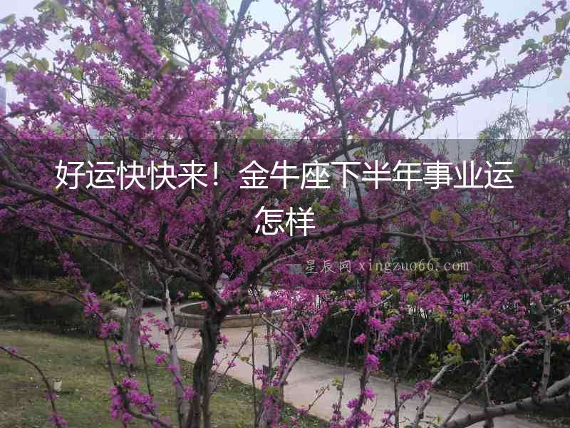 好運(yùn)快快來！金牛座下半年事業(yè)運(yùn)怎樣