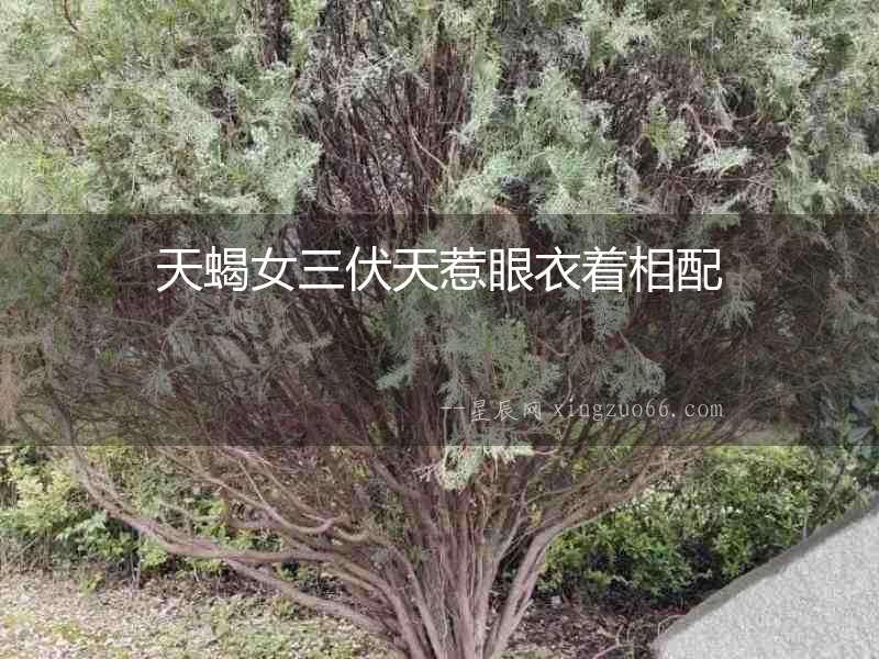 天蝎女三伏天惹眼衣著相配