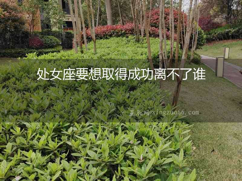處女座要想取得成功離不了誰