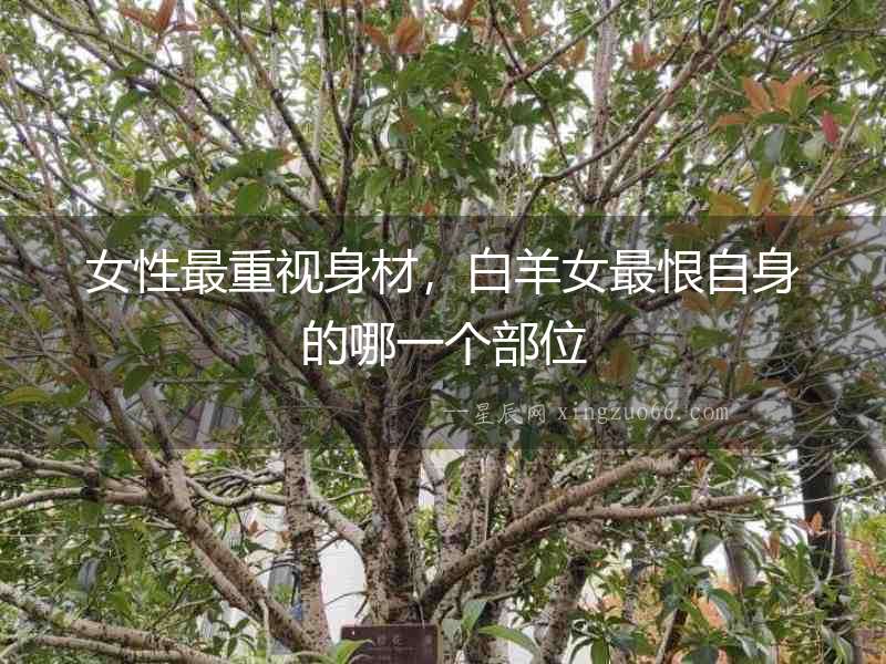 女性最重視身材，白羊女最恨自身的哪一個部位