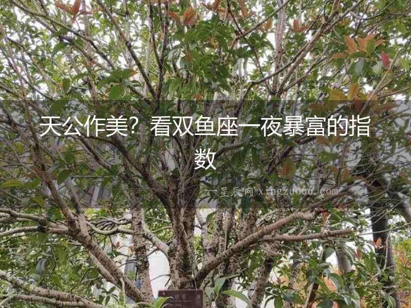 天公作美？看雙魚座一夜暴富的指數