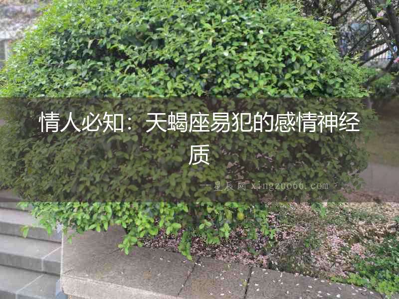 情人必知：天蝎座易犯的感情神經質