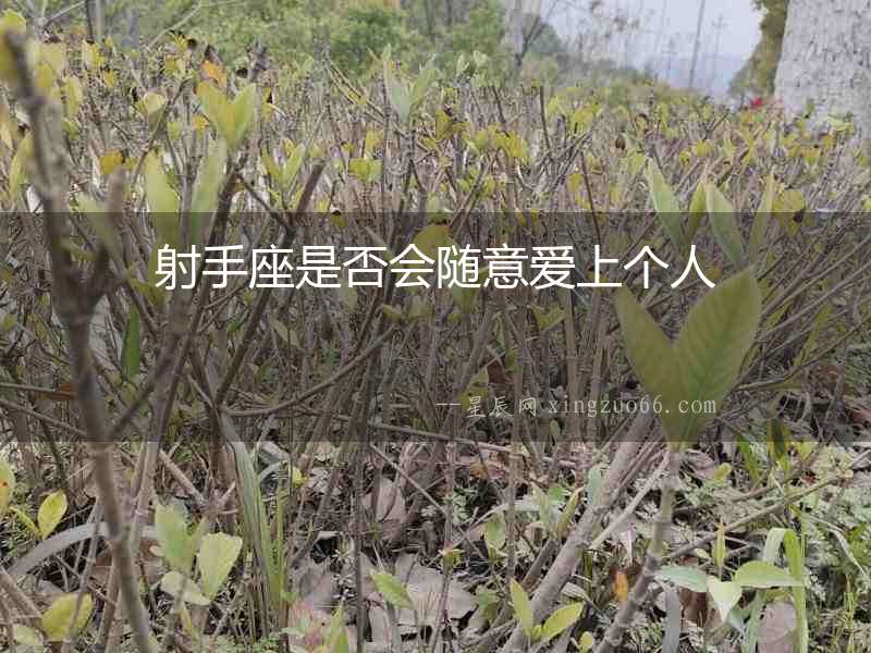 射手座是否會隨意愛上個人