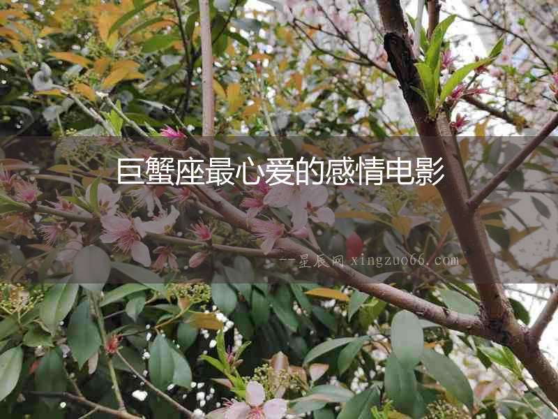 巨蟹座最心愛的感情電影