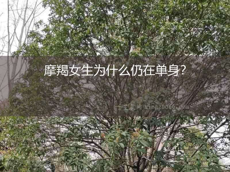 摩羯女生為什么仍在單身？