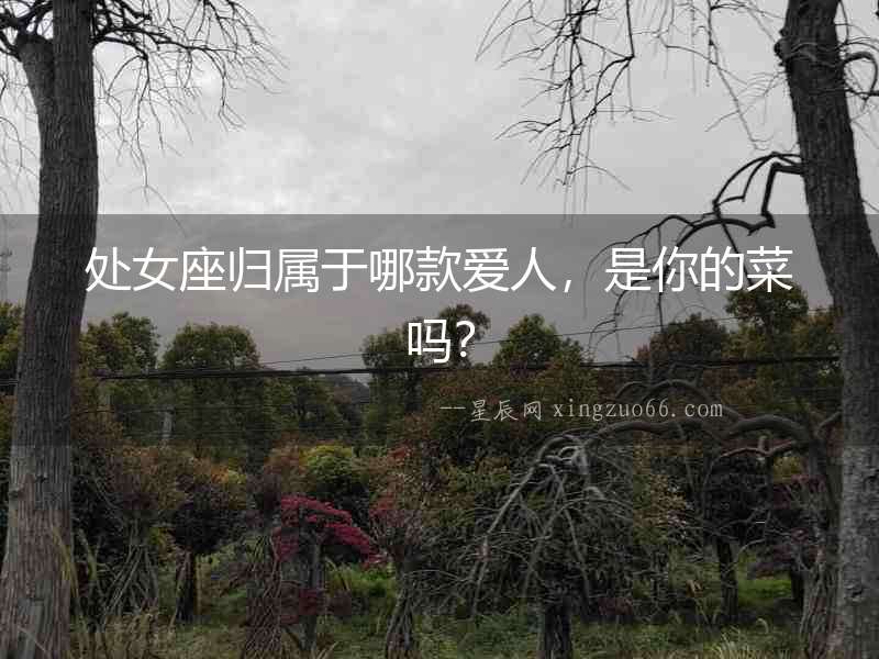 處女座歸屬于哪款愛人，是你的菜嗎？