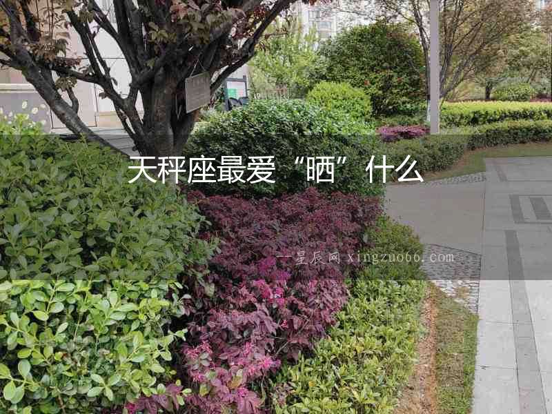 天秤座最?lèi)?ài)“曬”什么