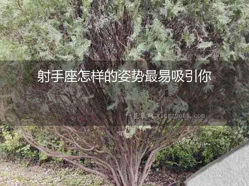射手座怎樣的姿勢最易吸引你