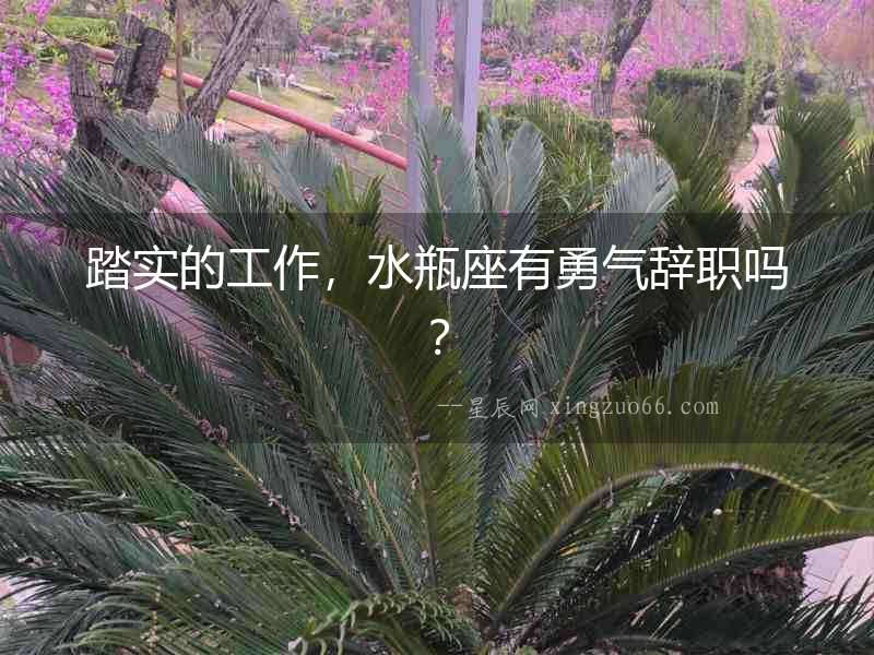 踏實(shí)的工作，水瓶座有勇氣辭職嗎？