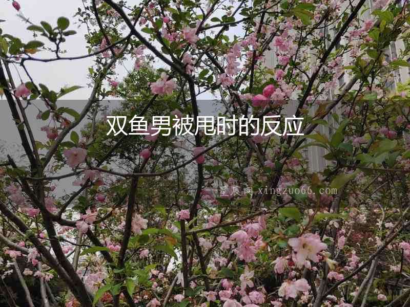 雙魚男被甩時的反應(yīng)