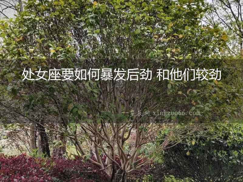 處女座要如何暴發后勁 和他們較勁