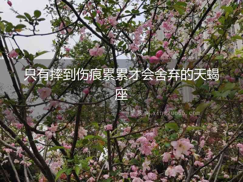 只有摔到傷痕累累才會(huì)舍棄的天蝎座