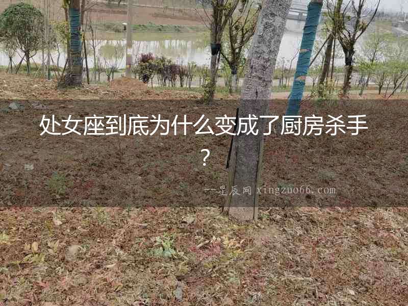 處女座到底為什么變成了廚房殺手？