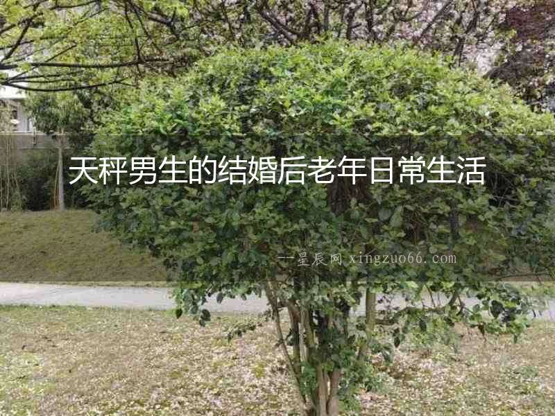 天秤男生的結婚后老年日常生活