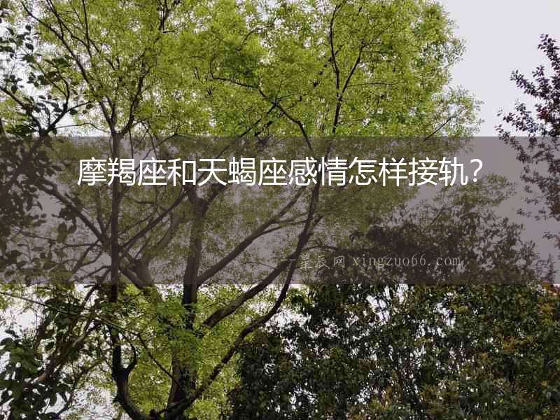 摩羯座和天蝎座感情怎樣接軌？