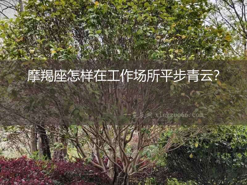 摩羯座怎樣在工作場所平步青云？