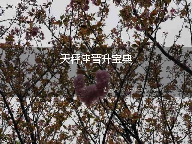 天秤座晉升寶典