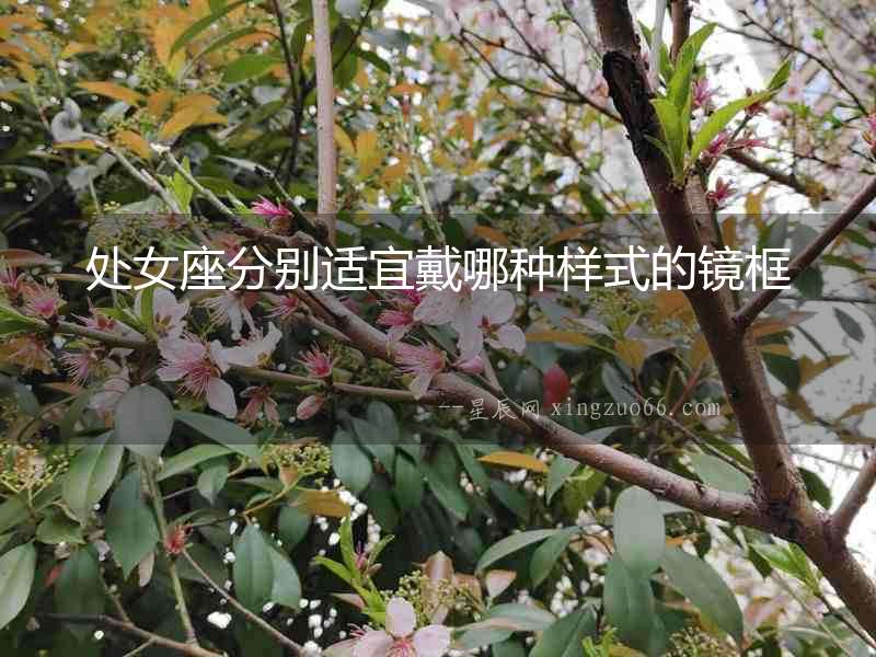 處女座分別適宜戴哪種樣式的鏡框
