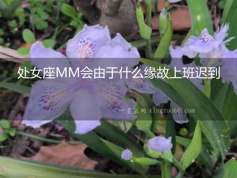 處女座MM會(huì)由于什么緣故上班遲到