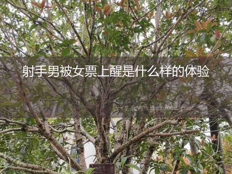 射手男被女票上醒是什么樣的體驗(yàn)