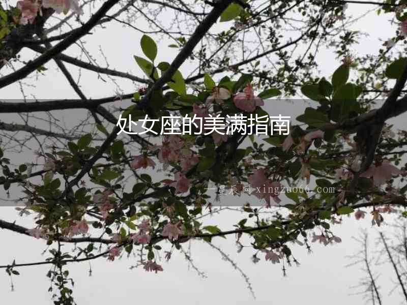 處女座的美滿指南