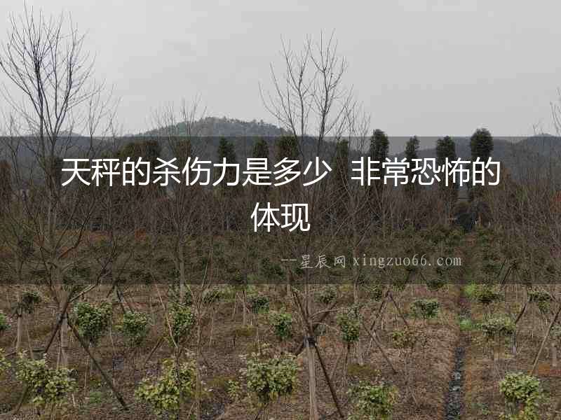 天秤的殺傷力是多少  非?？植赖捏w現