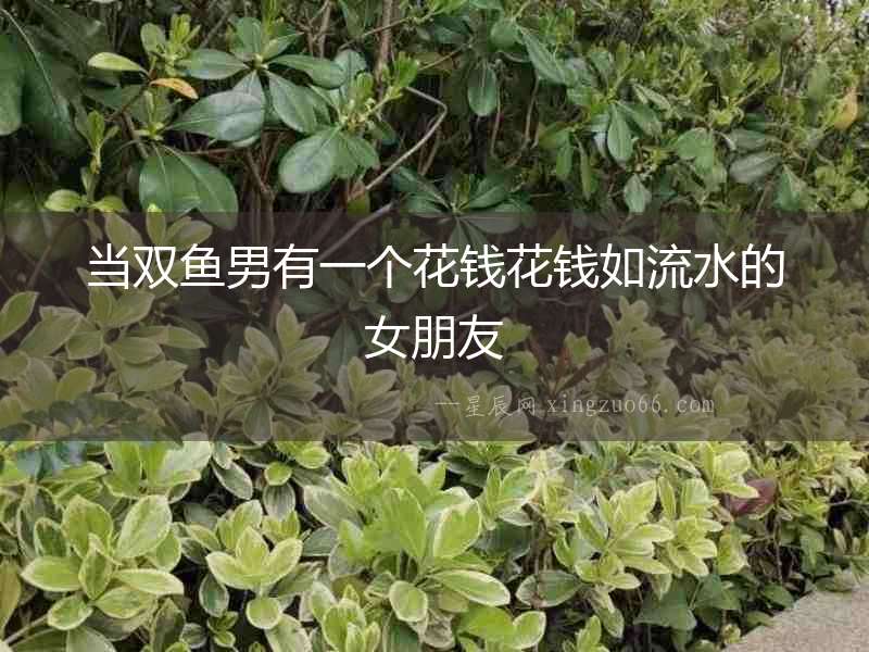 當雙魚男有一個花錢花錢如流水的女朋友