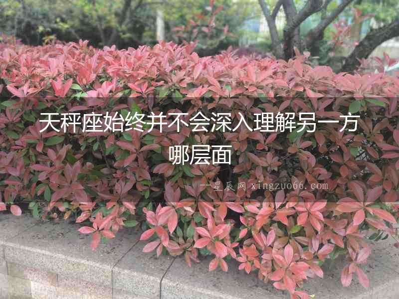 天秤座始終并不會深入理解另一方哪層面