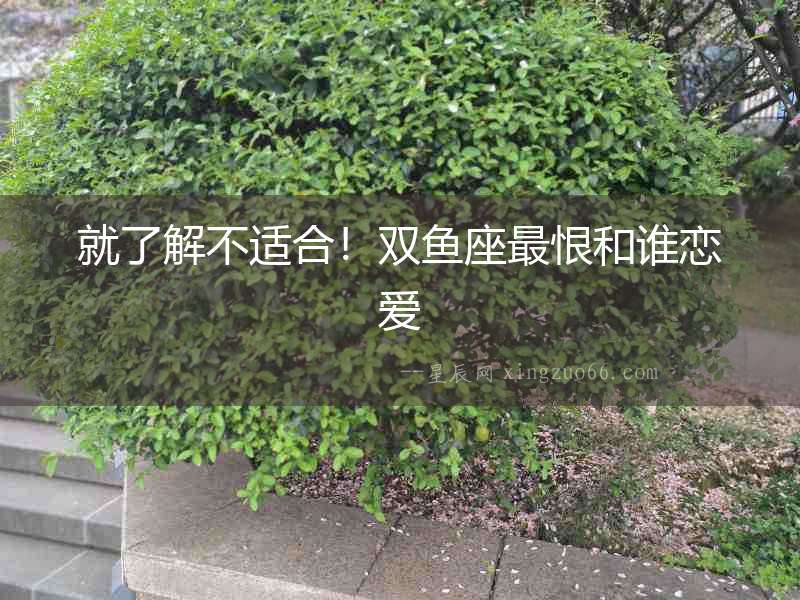 就了解不適合！雙魚座最恨和誰戀愛