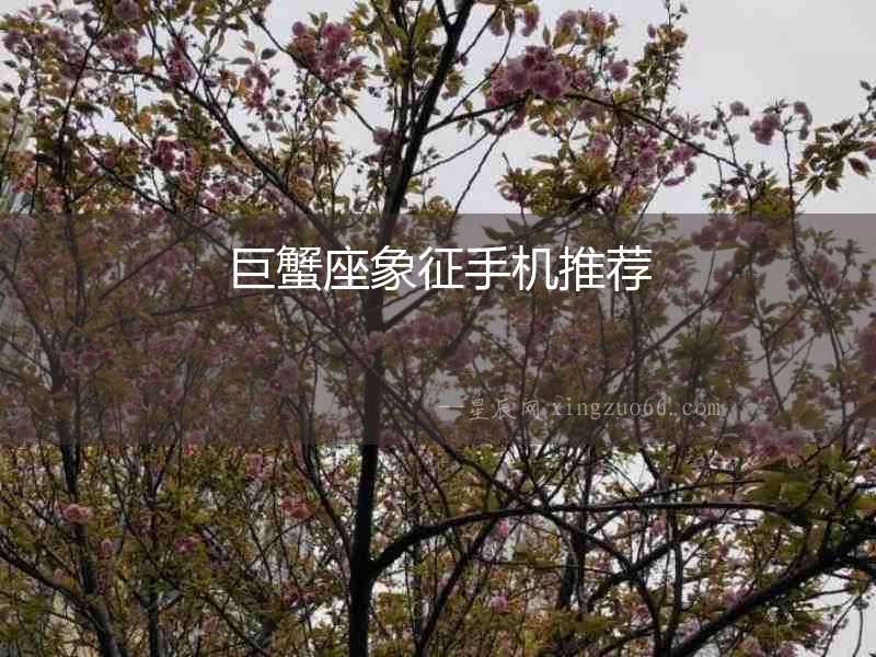 巨蟹座象征手機推薦