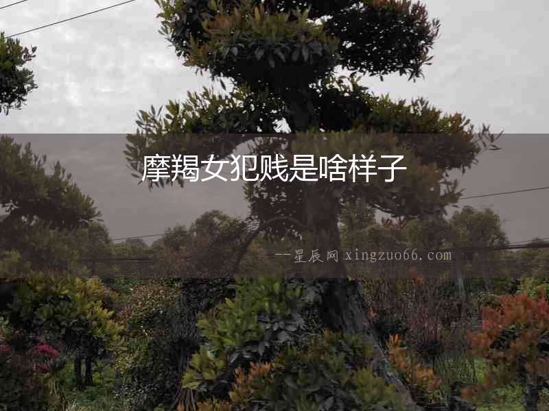 摩羯女犯賤是啥樣子