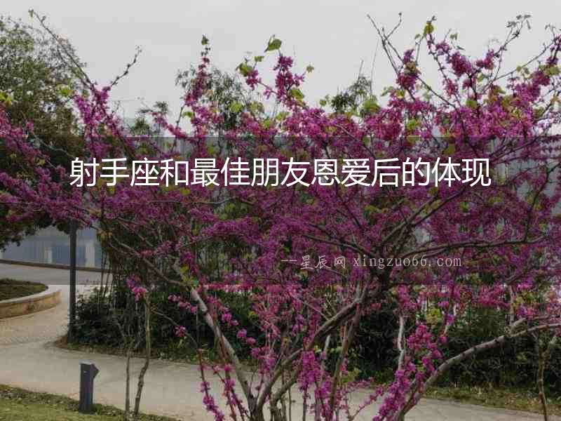 射手座和最佳朋友恩愛后的體現