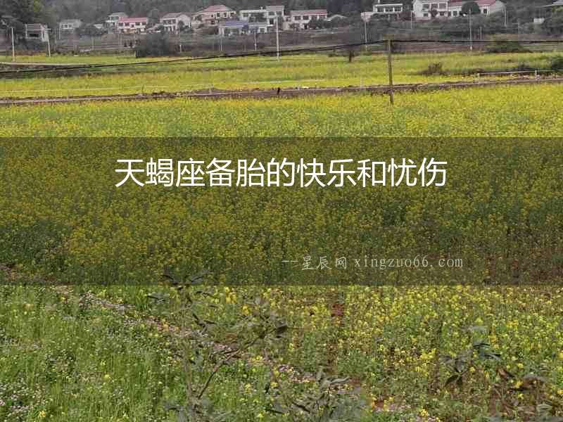 天蝎座備胎的快樂和憂傷