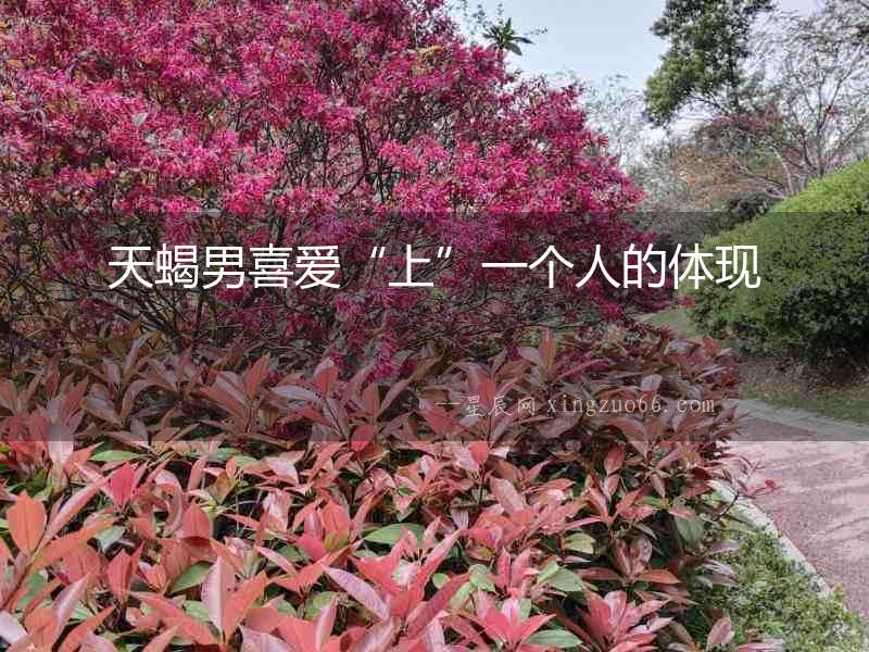 天蝎男喜愛“上”一個人的體現(xiàn)