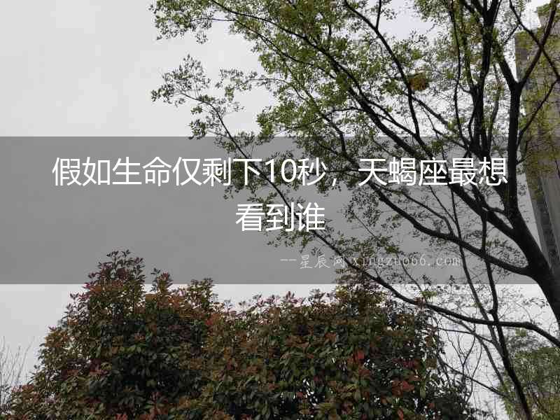 假如生命僅剩下10秒，天蝎座最想看到誰