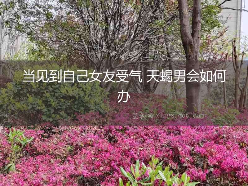 當見到自己女友受氣 天蝎男會如何辦