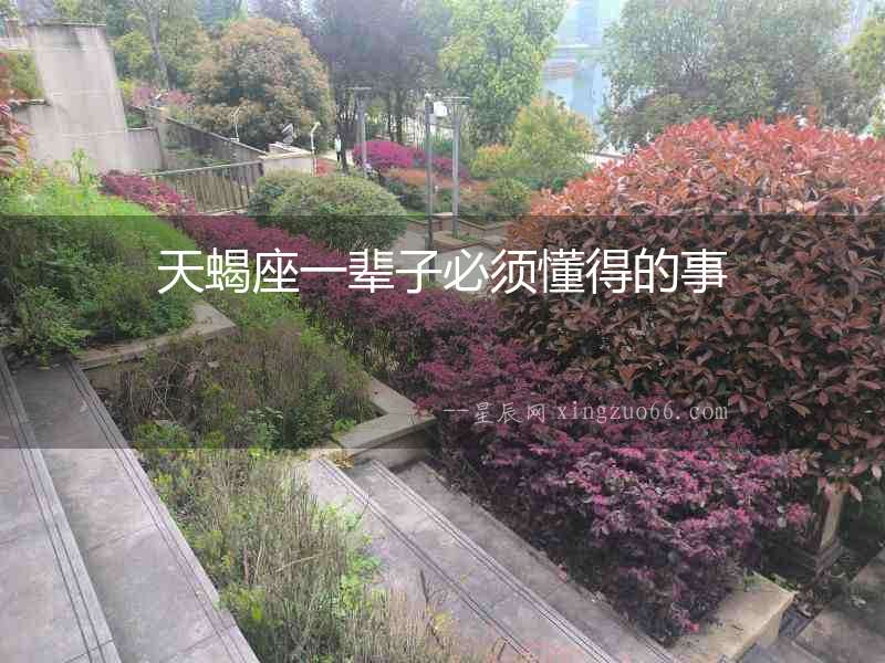 天蝎座一輩子必須懂得的事