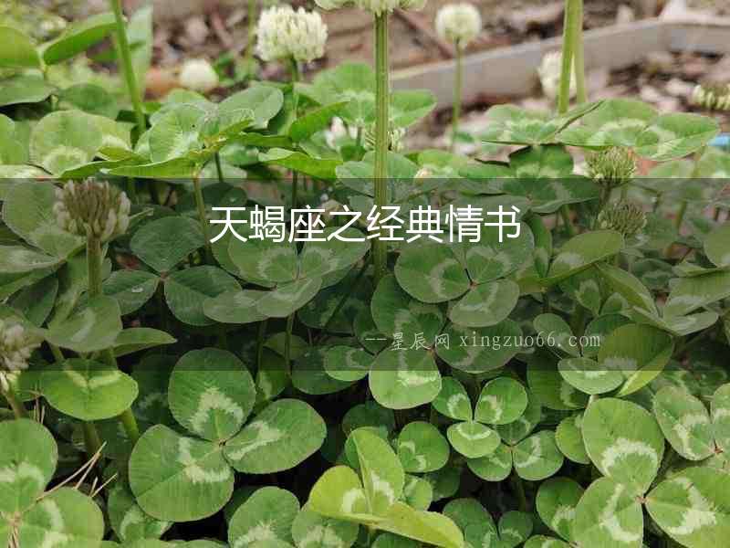 天蝎座之經典情書