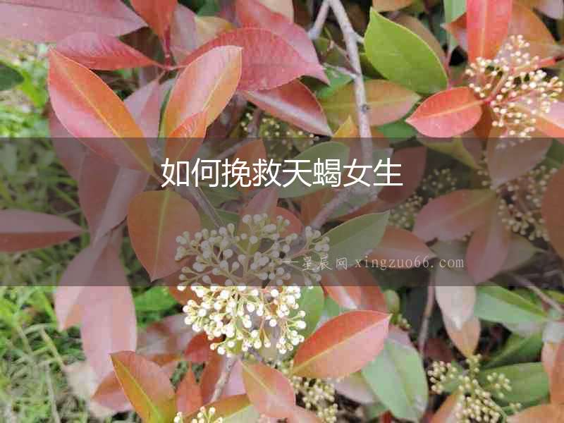如何挽救天蝎女生