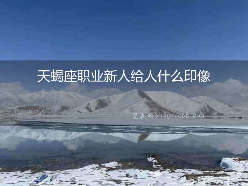天蝎座職業新人給人什么印像