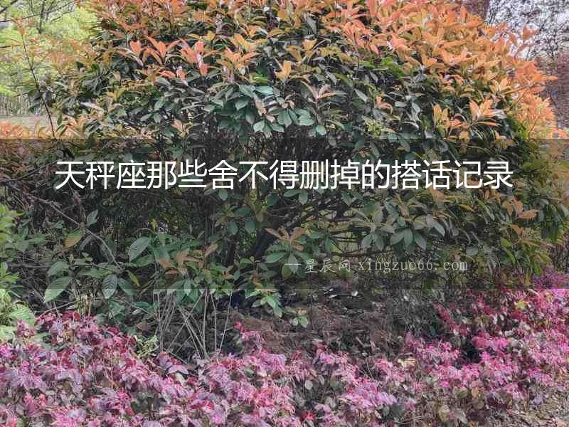 天秤座那些舍不得刪掉的搭話記錄