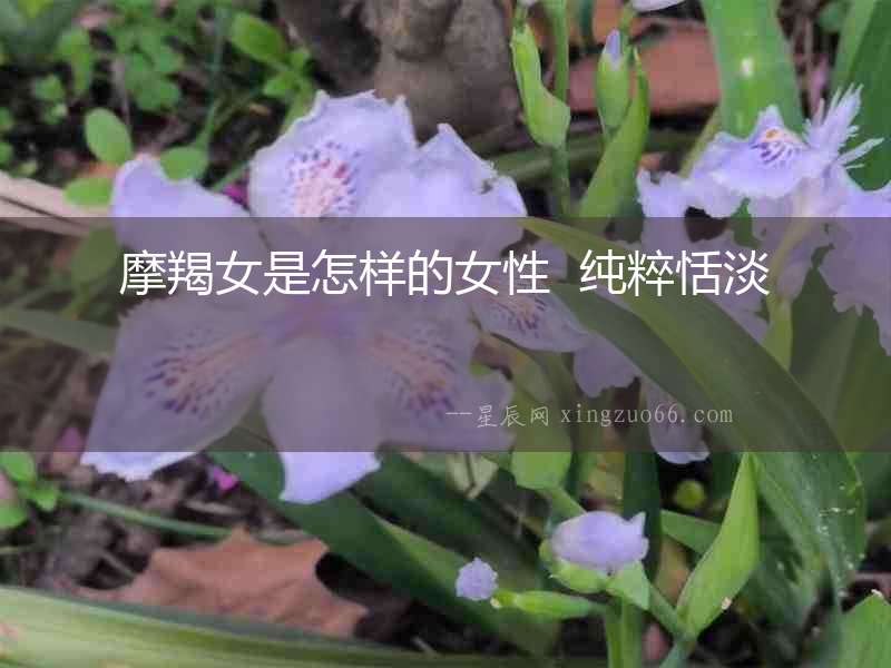 摩羯女是怎樣的女性  純粹恬淡