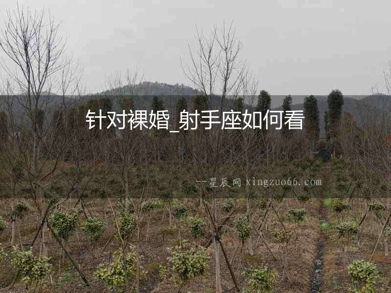 針對(duì)裸婚_射手座如何看